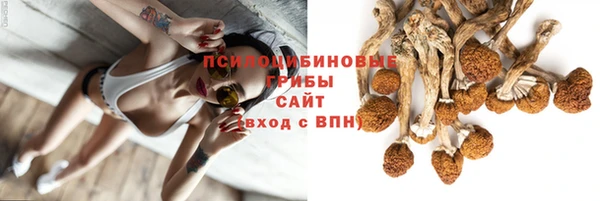 мдпв Заволжье