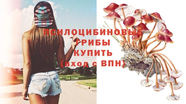 гашиш Заводоуковск
