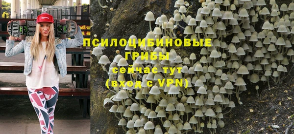 гашиш Заводоуковск